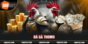 ảnh đại diện đá gà thomo 188bet